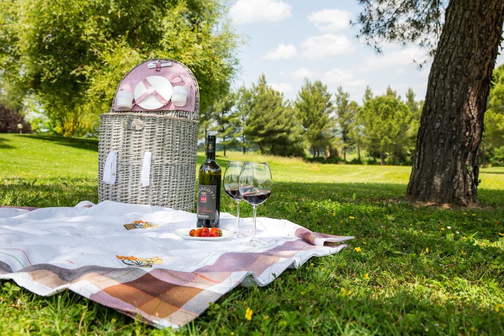 Agriturismo Colleverde Selvatelle Eksteriør billede