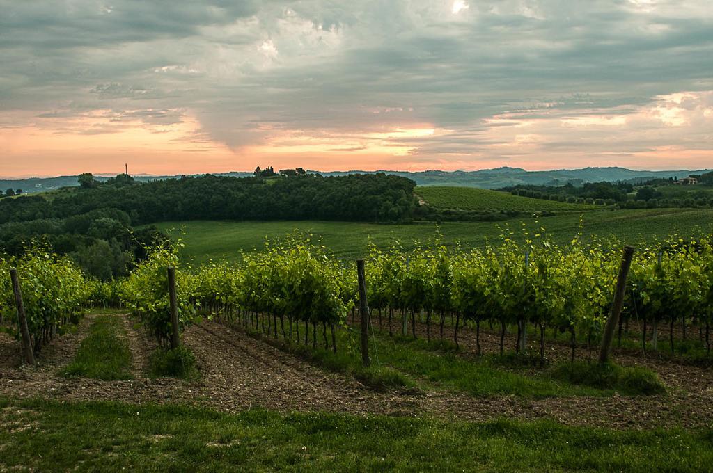 Agriturismo Colleverde Selvatelle Eksteriør billede
