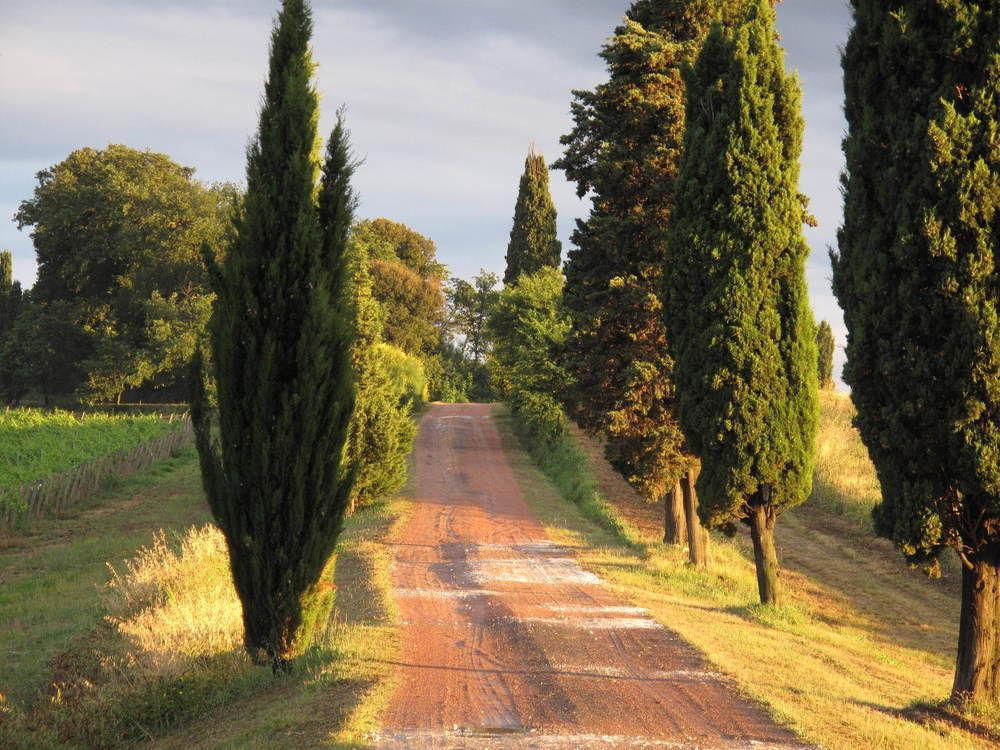 Agriturismo Colleverde Selvatelle Eksteriør billede
