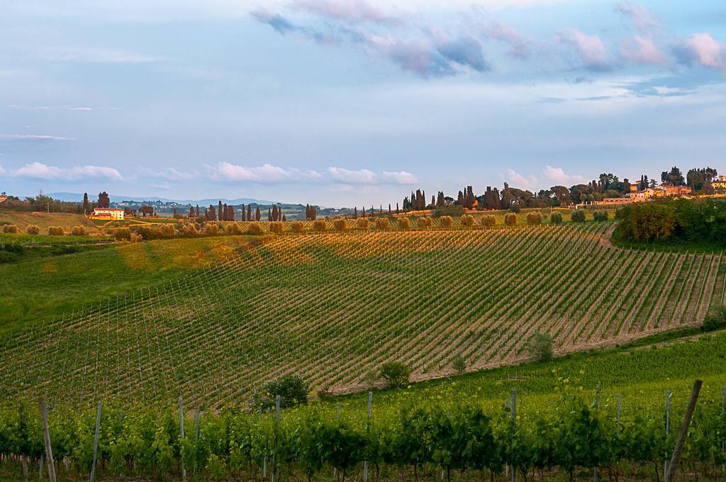 Agriturismo Colleverde Selvatelle Eksteriør billede