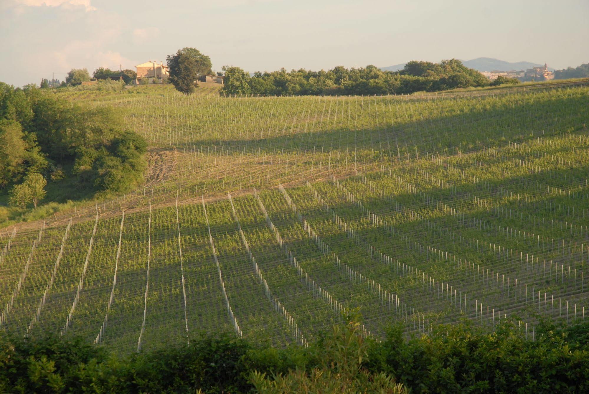 Agriturismo Colleverde Selvatelle Eksteriør billede